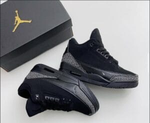 Air Jordan 3 retro